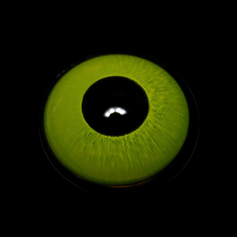 Cosplay Circle Line Yellow Colored Contact Lenses - Roseibase