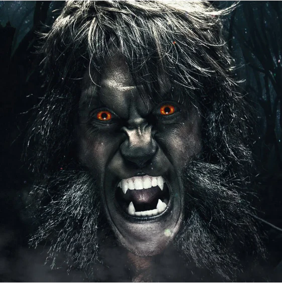 Cosplay WOLF EYES Red Colored Contact Lenses - Roseibase